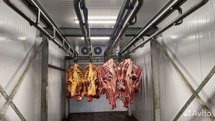 Холодильщики