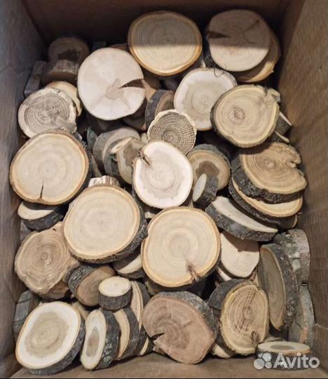 Спилы дерева для декора