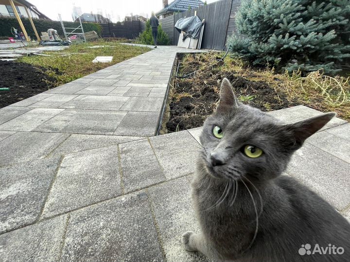 Тротуарная плитка брусчатка от завода