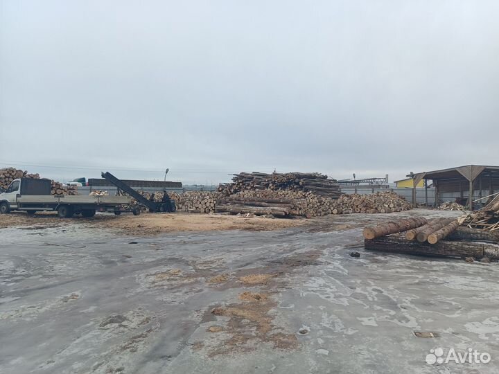 Дрова буковые от 5м3