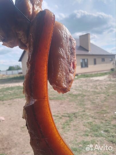 Копченое,соленое,домашнее сало