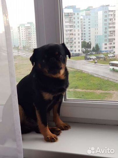 Ищем невесту