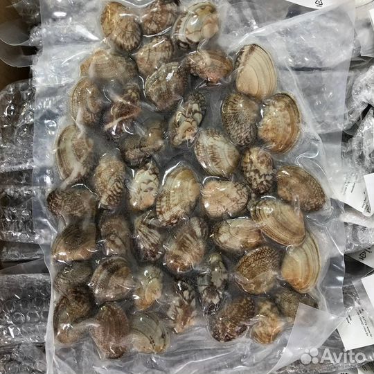 Клемы Вонголе в раковине