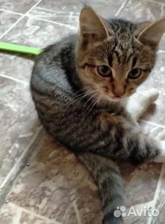 Европейская