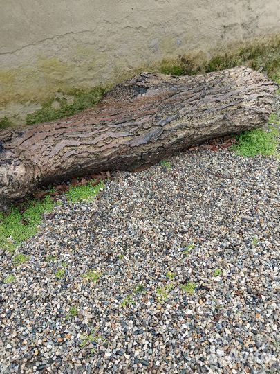 Драва отдам за 5000.Самовывоз