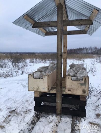 Соль лизунец