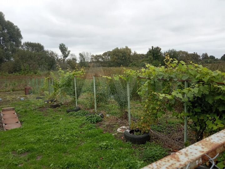 Дом 61,5 м² на участке 12 сот.