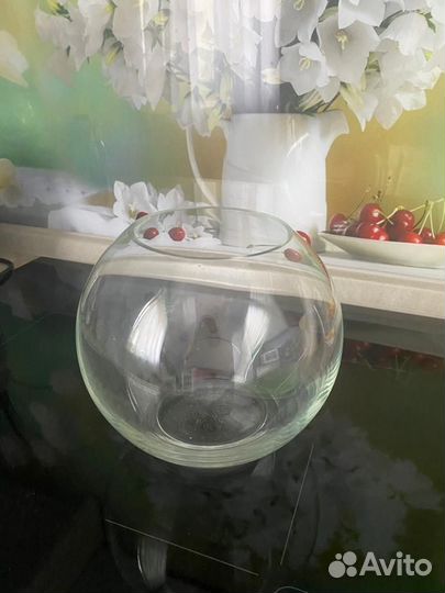 Аквариум круглый