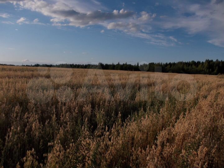 Участок 7,3 га (СНТ, ДНП)