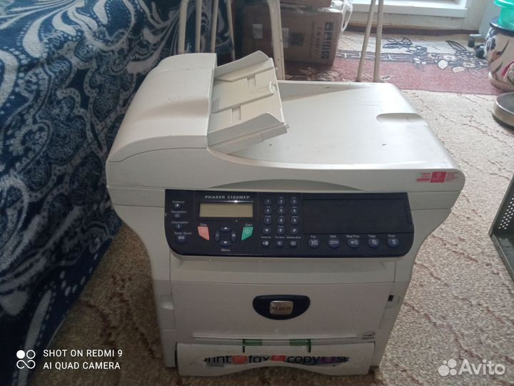 Принтер xerox phaser 3100