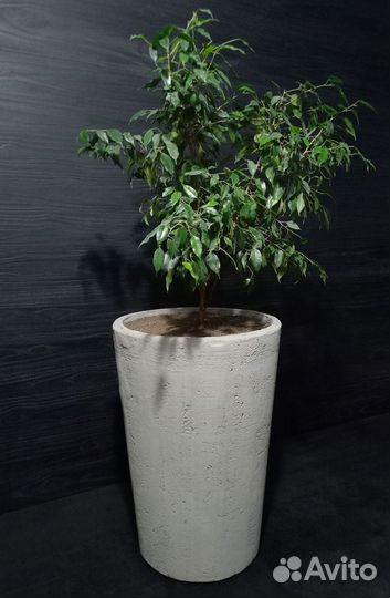 Вазоны, Горшки, Кашпо под заказ из бетона