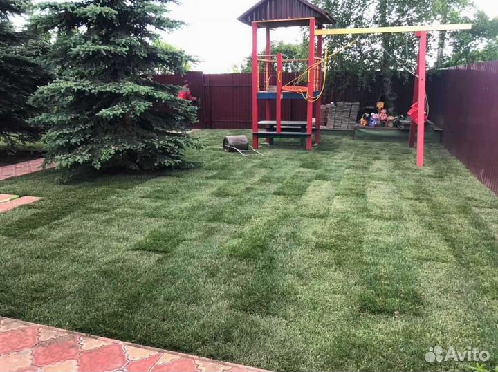 Укладка газона