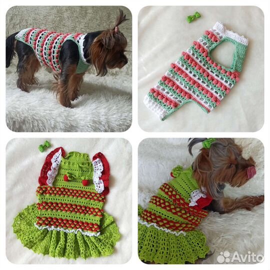 Одежда для собак