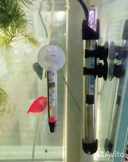 Оборудование для аквариума