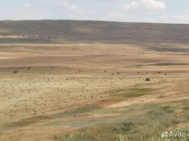Сено луговое в тюках