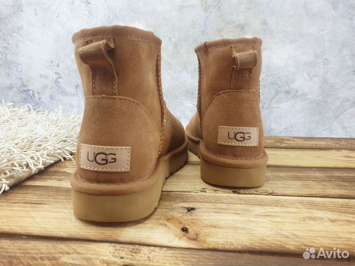 Ugg оригинал женские