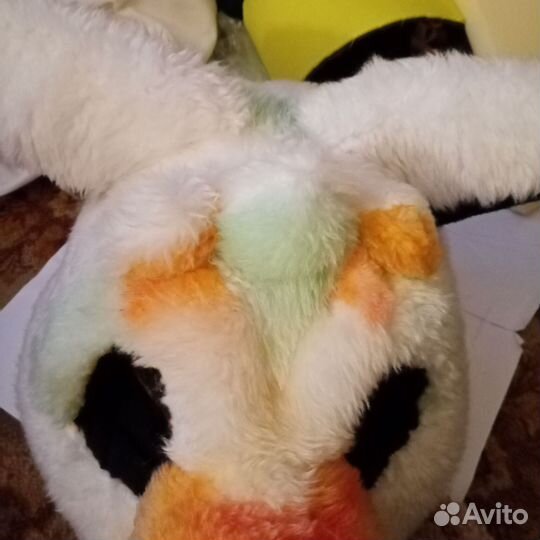 Фурсьют собаки