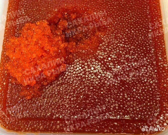 Красная икра горбуша 2023