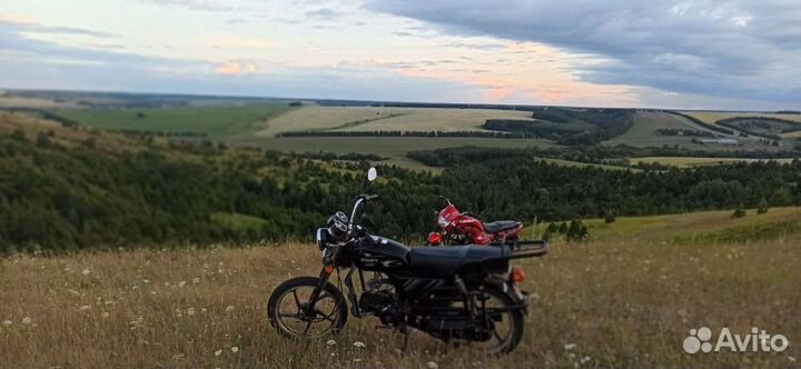 Альфа Свифт