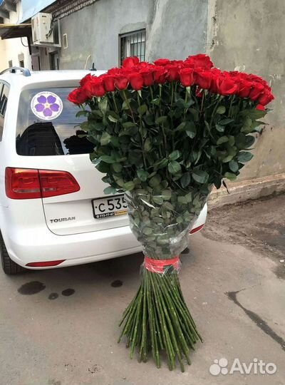 Высокие розы Гигантские розы Доставка цветов