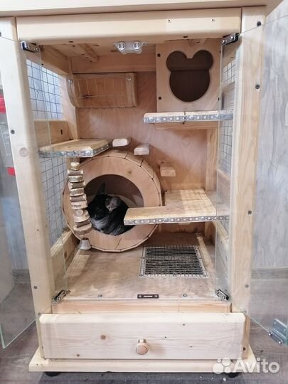 Витрина для шиншилл