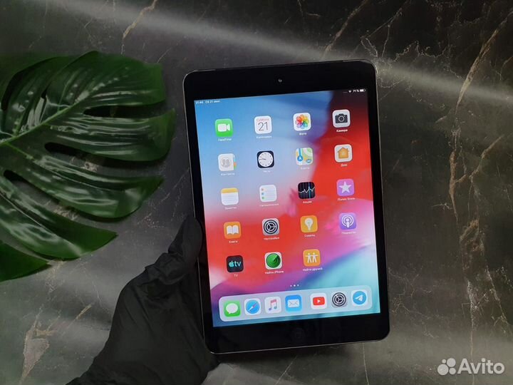 iPad mini 2