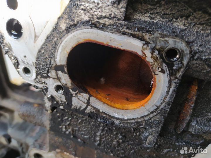 Двигатель AJM Volkswagen Golf 4 (1997-2005)