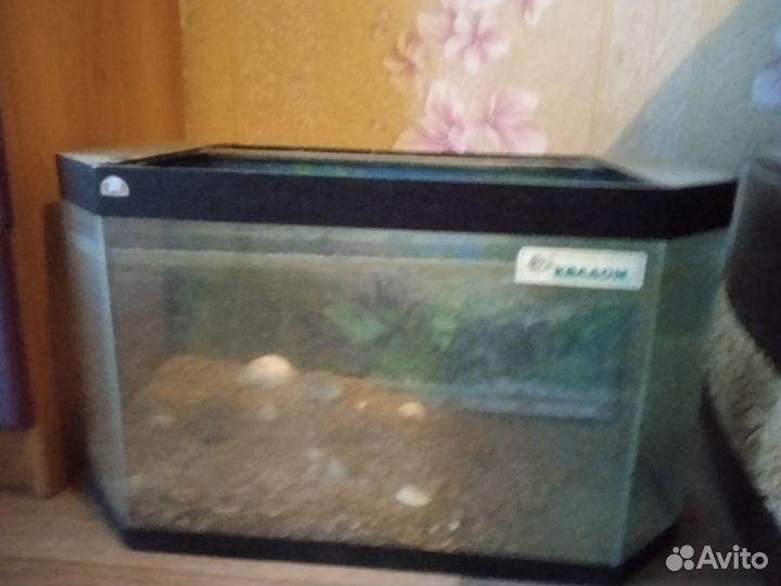 Аквариум