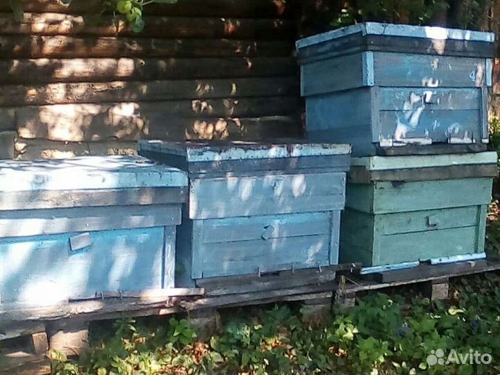 Ульи рамки и другой инвентарь