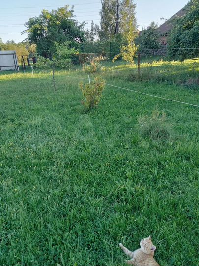 Участок 15 сот. (ИЖС)