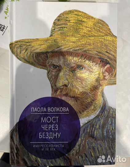 Паола Волкова Мост через бездну