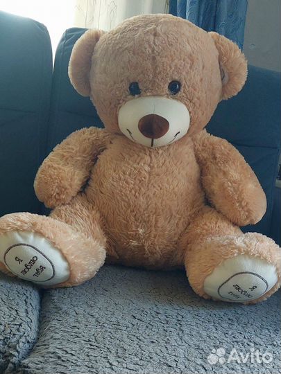 Медведь большой