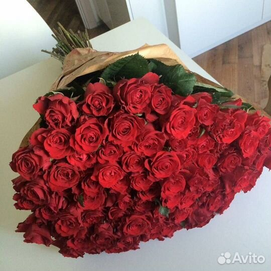 Розы доставка букет роз, розы опт 51 роза 101 роза