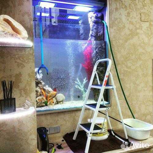 Чистка,обслуживание аквариумов в Сочи