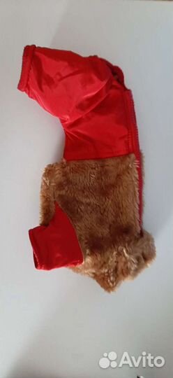 Комбенезоны для маленькой собачки