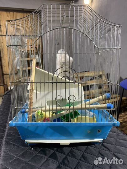 Клетка для попугая