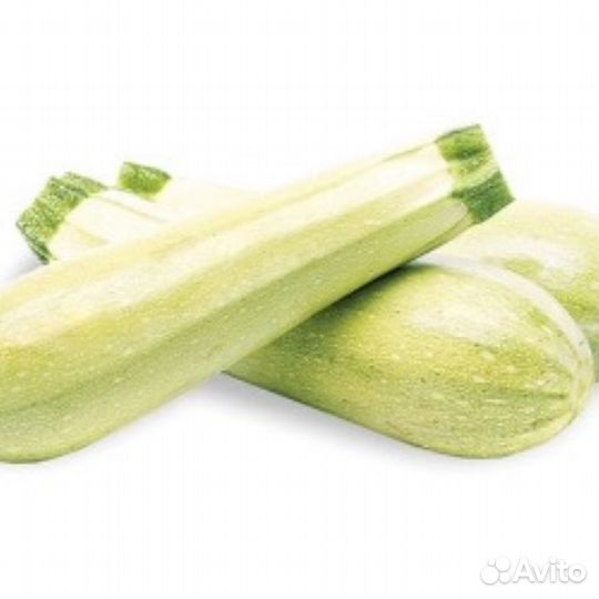 Семена кабачка цукини Кавилли F1