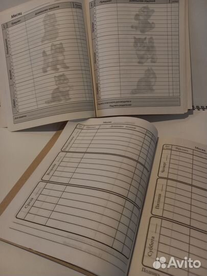 Дневники школьные