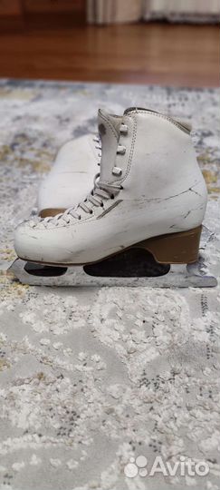 Коньки фигурные edea chorus 235