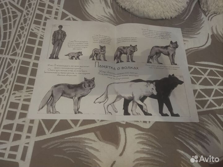 Фанфик bts Белоснежный дикарь с плакатом