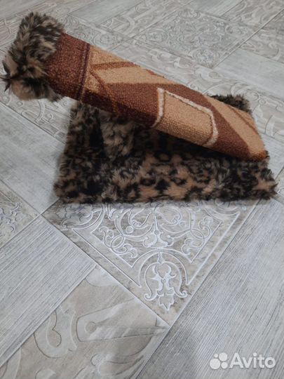 Когтеточка