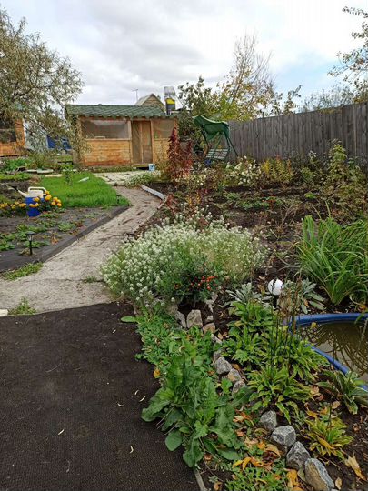 Дача 24 м² на участке 5 сот.