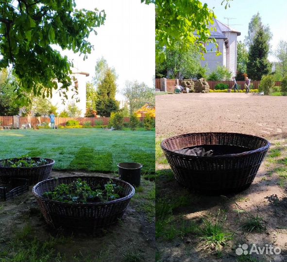 Рулонный газон art/984z