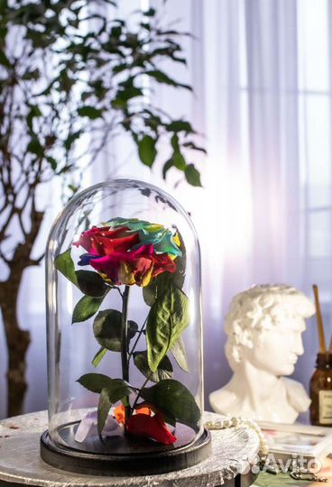 Роза в колбе оптом и в розницу