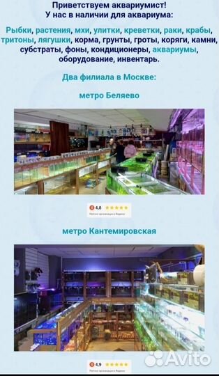 Рыбки в ассортименте для вашего аквариума на дом