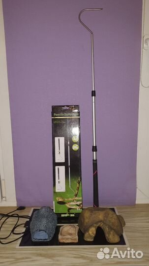 Хабитат со скорпионом и аксессуары для террариума