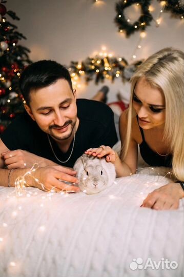 Кролик для фотосессии (в аренду, подробности в лс)