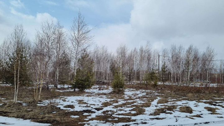 Участок 15 сот. (СНТ, ДНП)