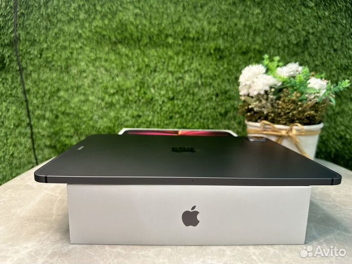 iPad Pro 11 2021 m1 128gb WIFi + Cellular Ростест