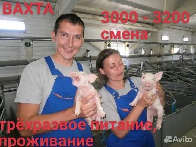 Оператор по уходу за животными